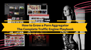 How to Grow a Porn Aggregator: The Complete Traffic Engine Playbook